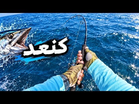 رحلة صيد الكنعد في قطر Kingfish Fishing Trip in Qatar