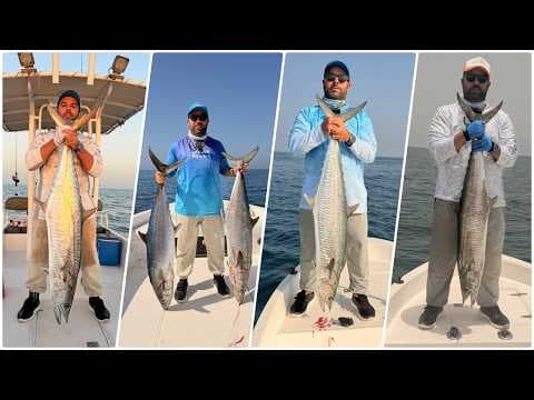 صيد الكنعد للموسم كامل 2025/2026 All Kingfish Catches of the Season