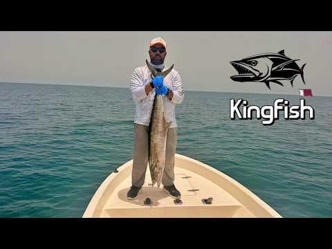 صيد كنعد بطريقة الطعم الحي Live bait Trolling for Kingfish